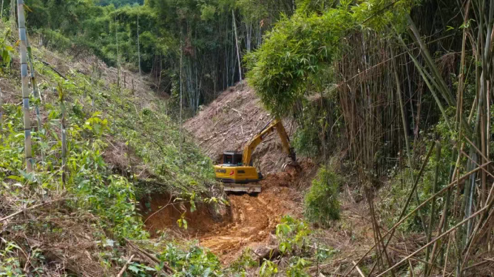 林间“藏龙”，竹海“卧虎”——XINGKONG SPORT林业挖机广西侠客行